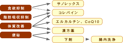 使い分け図
