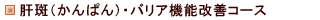 肝斑・バリア機能改善コース